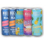 Nocco BCAA + Caffeine 180 330 ml – Zboží Mobilmania