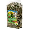 Krmivo pro hlodavce JR Farm Ovocné listy 100 g