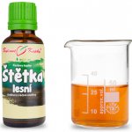 Bylinné kapky Štětka lesní tinktura 50 ml – Hledejceny.cz