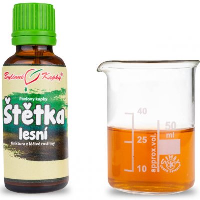 Bylinné kapky Štětka lesní tinktura 50 ml – Hledejceny.cz