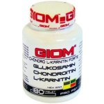 Giom Chondro L-karnitin Forte 60 tbl – Hledejceny.cz