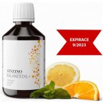 Zinzino BalanceOil 100 ml Pomeranč Rybí tuk – Zbozi.Blesk.cz