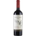 Ándica Cabernet Sauvignon Gran Reserva Itata Valle 2023 13,5% 0,75 l (holá láhev) – Hledejceny.cz