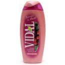 Vidal Berries & Musk sprchový gel 250 ml