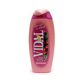 Vidal Berries & Musk sprchový gel 250 ml