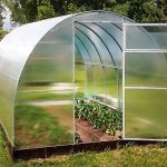 Scobax Vitamin 4 x 3 m polykarbonát 6 mm BDX00205 – Zboží Dáma