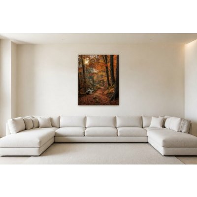 Obraz na plátně – Podzimní lesní cesta u potoka 120 × 150 cm – Hledejceny.cz