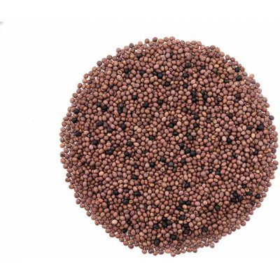 ZdravýDen BIO Směs semen na klíčení 4 ředkvičky červená růžová černá a fialová 200 g – Sleviste.cz