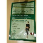 Green World Detoxikační náplasti Tsu Tsu 10 ks – Zboží Dáma