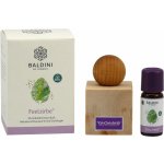 Baldini by Taoasis Aroma sada Piniový háj 1 ks 10 ml + difuzér – Hledejceny.cz