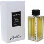 Mont Blanc Extreme Leather parfémovaná voda pánská 125 ml – Hledejceny.cz