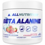 AllNutrition Beta-Alanine 250 g – Hledejceny.cz