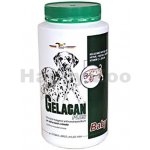 Orling - Gelacan Champion psi barevná plemena 150 g – Hledejceny.cz