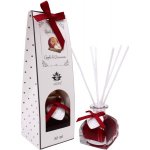 Arôme Difuzér s tyčinkami Apple and Cinnamon 50 ml – Zboží Dáma
