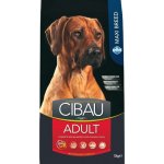 Cibau Dog Adult Maxi 14 kg – Hledejceny.cz