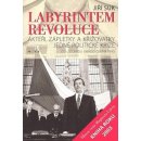 Kniha Labyrintem revoluce -- Aktéři, zápletky a křižovatky jedné politické krize od listopadu 1989 do června 1990 - Suk Jiří