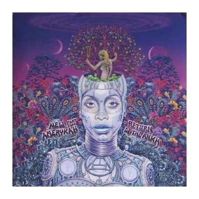 Badu Erykah - New Amerykah Part 2 LP – Hledejceny.cz