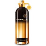 Montale Spicy Aoud parfémovaná voda unisex 100 ml – Hledejceny.cz