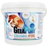 Orling Gelapony Chondro HYAL 1,8 kg – Zboží Dáma
