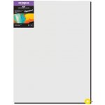 Octopus Professional malířské plátno 350 g 70 x 100 cm – Zboží Dáma