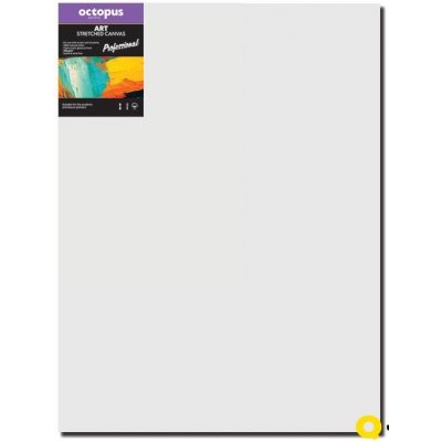 Octopus Professional malířské plátno 350 g 70 x 100 cm – Zboží Dáma