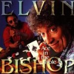 Bishop Elvin - Ace In The Hole CD – Hledejceny.cz