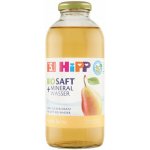 Hipp BIO Nápoj Hruška s neperlivou pramenitou vodou 500 ml – Hledejceny.cz