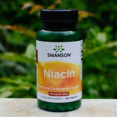 Swanson Niacin 100 mg x 250 tablet – Zboží Mobilmania