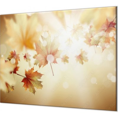 Glasdekor Skleněný kryt javorové listí v září slunce - Ochranná deska: 60x80cm, Lepení na zeď: S lepením na zeď – Zboží Mobilmania