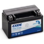 Exide AGM12-6 | Zboží Auto