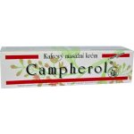 Campherol chladivý masážní krém 50 g – Sleviste.cz