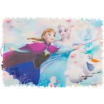 Banquet prostírání Ledové království Frozen 2 44x30 – Sleviste.cz