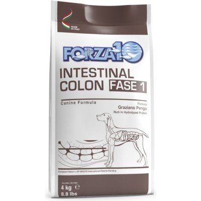 Forza 10 Active Line Intestinal Colon Phase 1 4 kg – Zboží Mobilmania