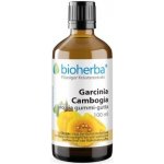 Bioherba Garcinia Cambogia tinktura kapky 100 ml – Hledejceny.cz