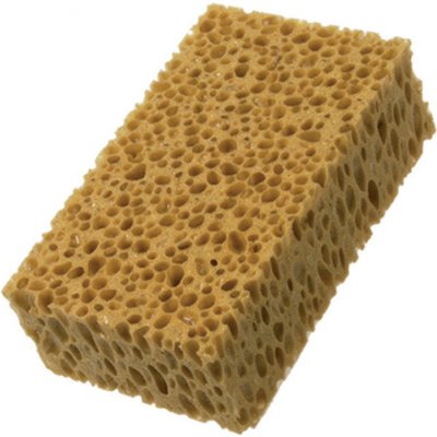 Houba hnědá Star - 180 mm x 110 mm – Zboží Mobilmania