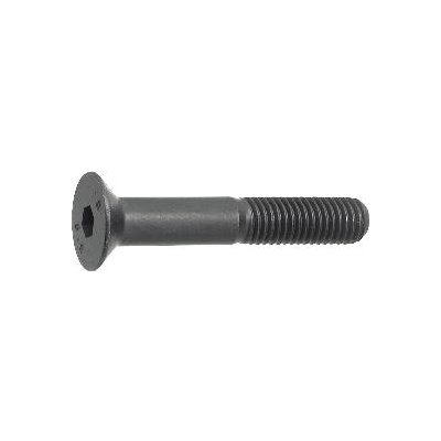 Šroub zápustná hlava vnitřní šestihran ISO10642 M5x30, 8.8 ocel (500 ks) – Sleviste.cz