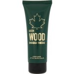 Dsquared2 Green Wood ASB 100 ml – Hledejceny.cz