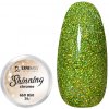 Zdobení nehtů Expa nails třpytky na zdobení nehtů shining chrome glitter 10 2 g