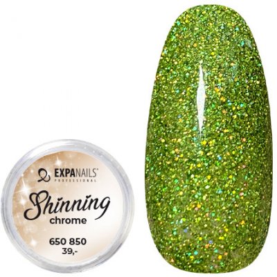 Expa nails třpytky na zdobení nehtů shining chrome glitter 10 2 g – Zbozi.Blesk.cz