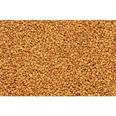 LES FRUITS DU PARADIS Pískavice celé semínko BIO 3 kg – Zboží Dáma