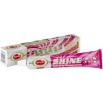 Shine Metal polish leštící pasta na kovy pro domácnost 75 ml – Hledejceny.cz