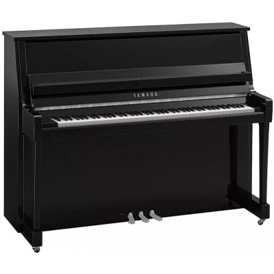 Yamaha B20 PEC – Zboží Dáma