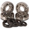 Ojniční sada pro motorku HOT RODS Main bearing & seal kits K012