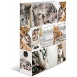 Herma Pořadač pákový A4 7 cm Kočky – Zboží Živě