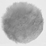 Bosch Lešticí kotouč 125 mm 1609200245 – Hledejceny.cz