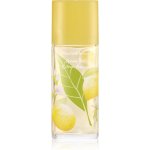 Elizabeth Arden Green Tea Honeysuckle toaletní voda dámská 100 ml – Hledejceny.cz