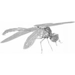 Metal Earth 3D puzzle Vážka 21 ks – Hledejceny.cz