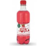 Zon Malina 10 x 0,5 l – Sleviste.cz