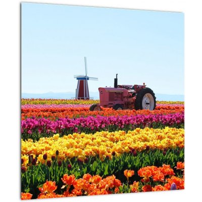 Skleněný obraz tulipánové farmy, jednodílný 40x40 cm na skle