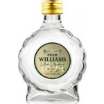 R. Jelínek Hruškovice Williams Kosher 42% 0,05 l (holá láhev) – Zboží Dáma